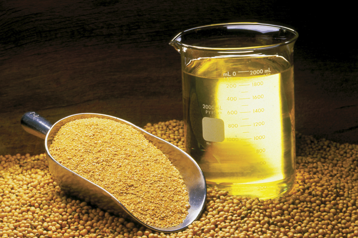 What Oil Is Similar To Soybean Oil